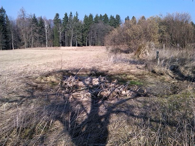 Pramen Desné (8136) - březen 2014