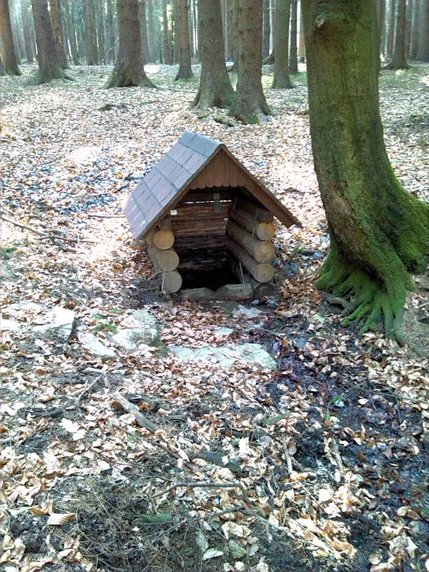 studánka V Sedlišťském lese (8162) - březen 2014
