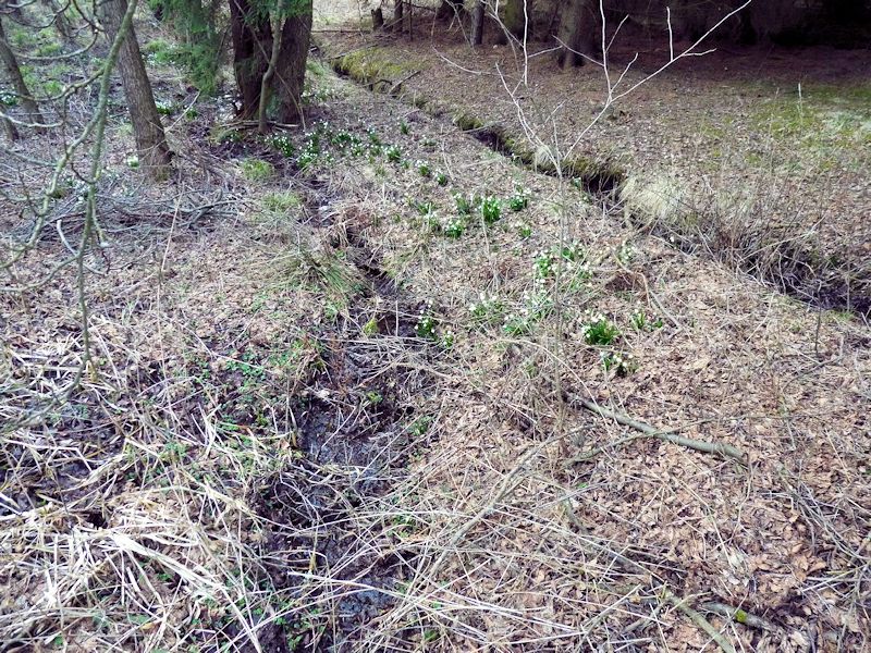 prameniště Údolí děsu (8166) - březen 2014
