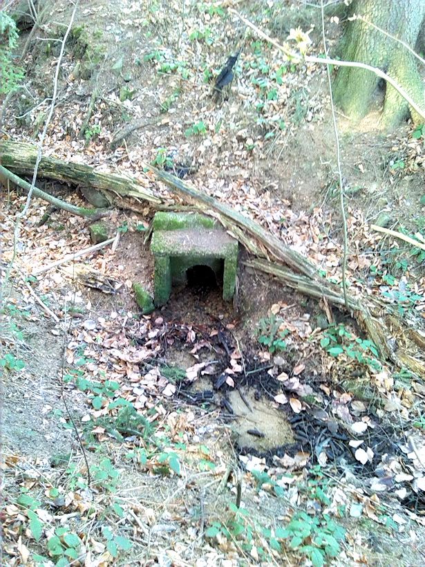 jiný vodní zdroj Nad Skelnou hutí (8172) - březen 2014