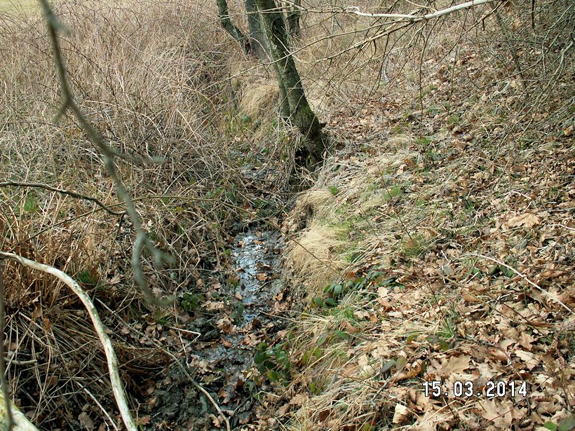 pramen Liptaňského potoka (8178) - březen 2014