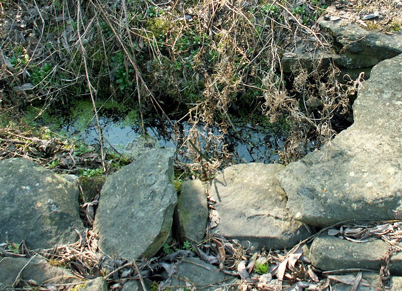 pramen Razovského potoka (8196) - březen 2014