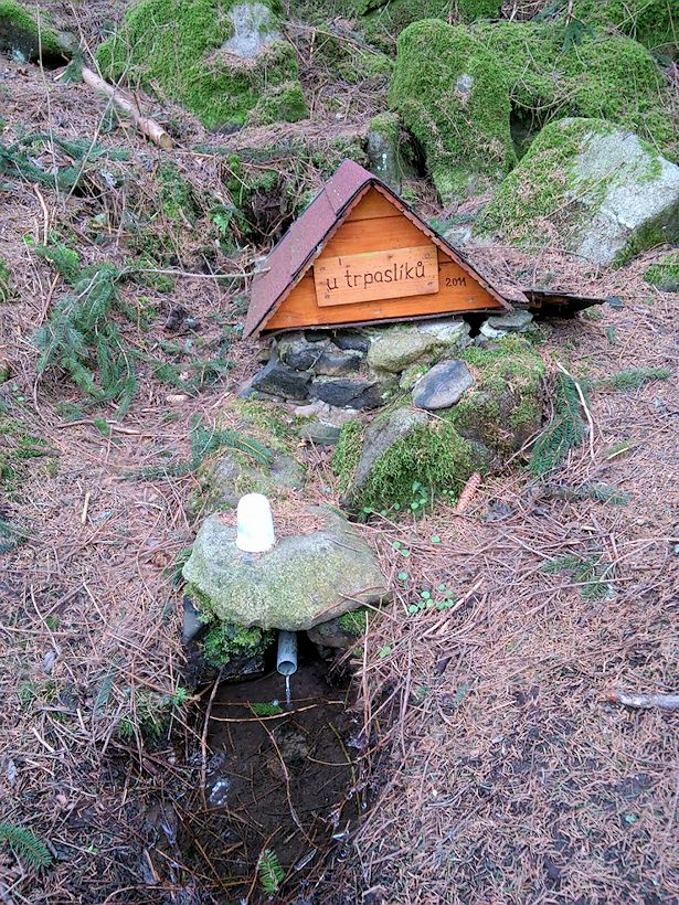 studánka U trpaslíků (8203) - březen 2014