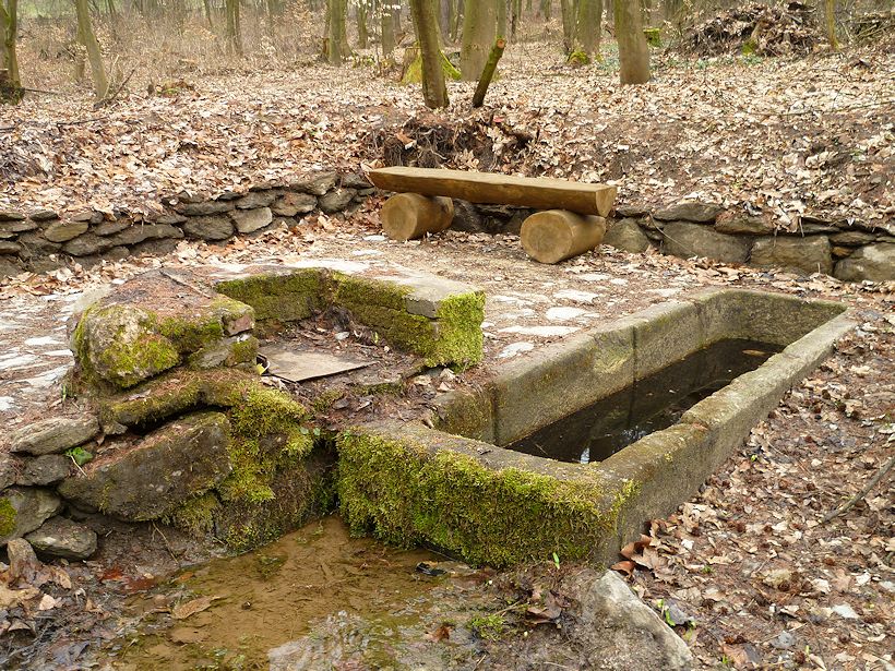 studánka bez jména (8210) - březen 2014