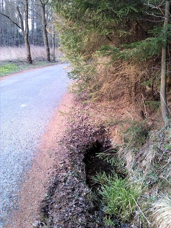 studánka U cesty (8218) - březen 2014
