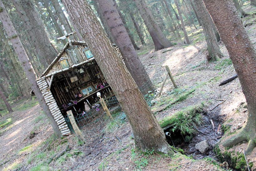 pramen U Studánky  (8227) - březen 2014