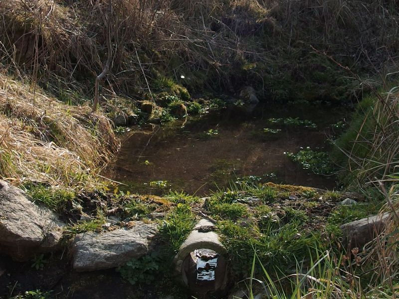 studánka bez jména (8267) - duben 2014