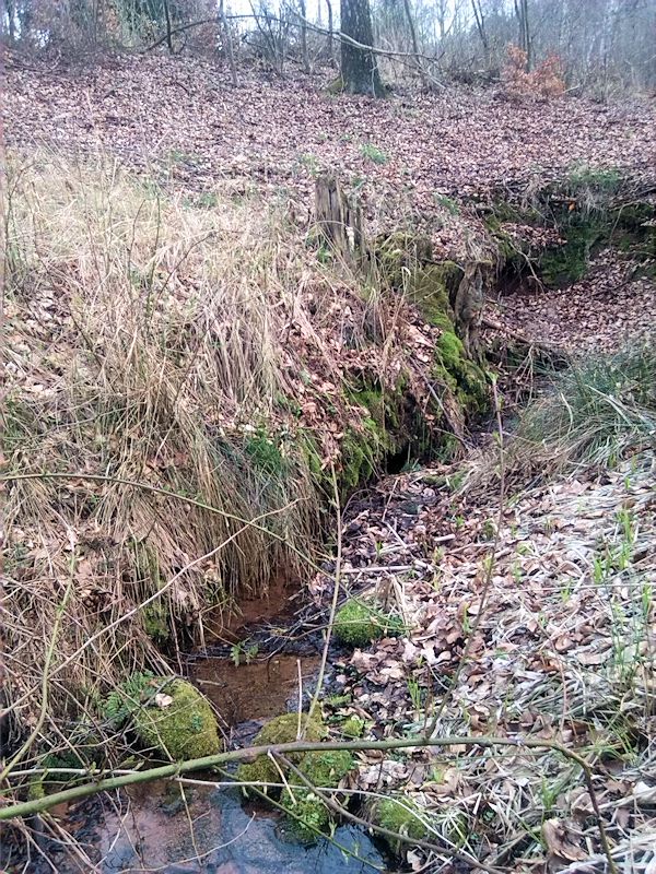 pramen Nad Francouzským borečkem (8274) - duben 2014