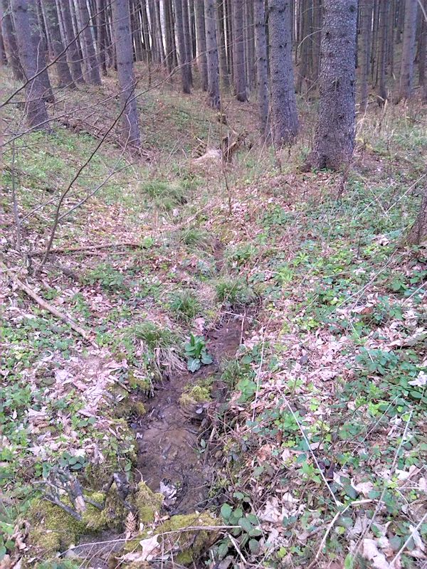 pramen Nad Lichtenštejnským kamenem (8293) - duben 2014