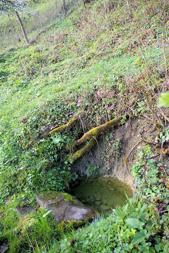 studánka Pod lipou (8297) - duben 2014
