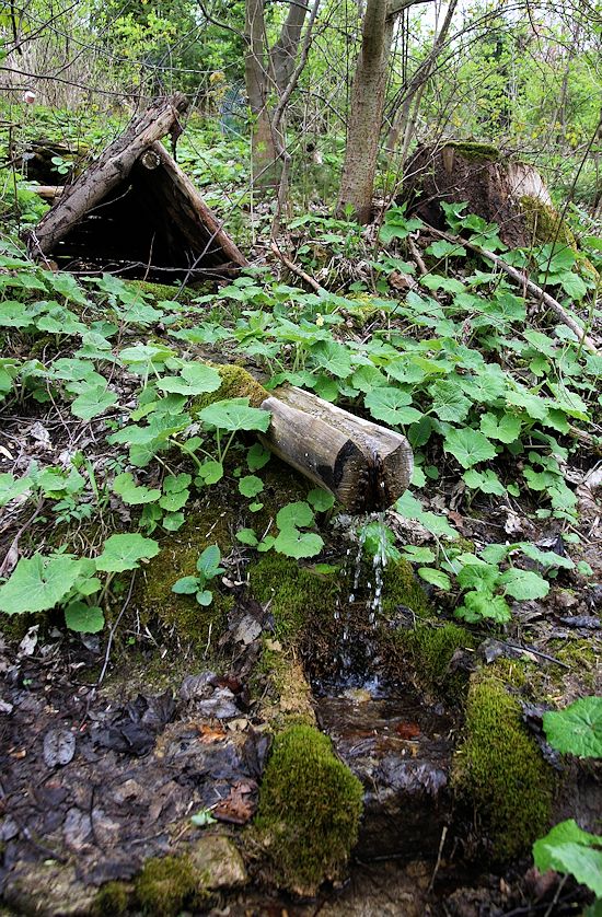 Fuskova studánka (8321) - duben 2014