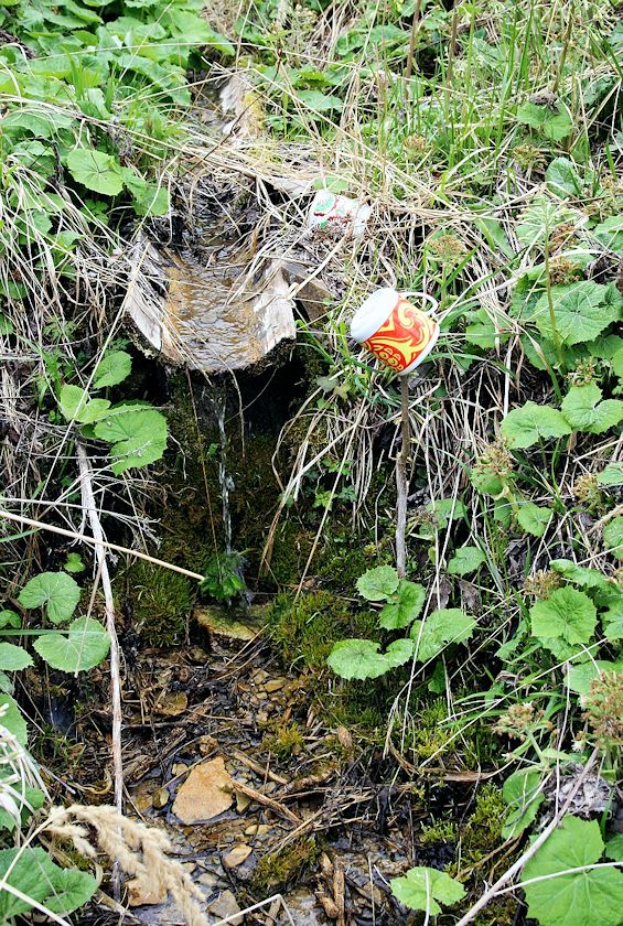 studánka Na Pasece (8324) - duben 2014