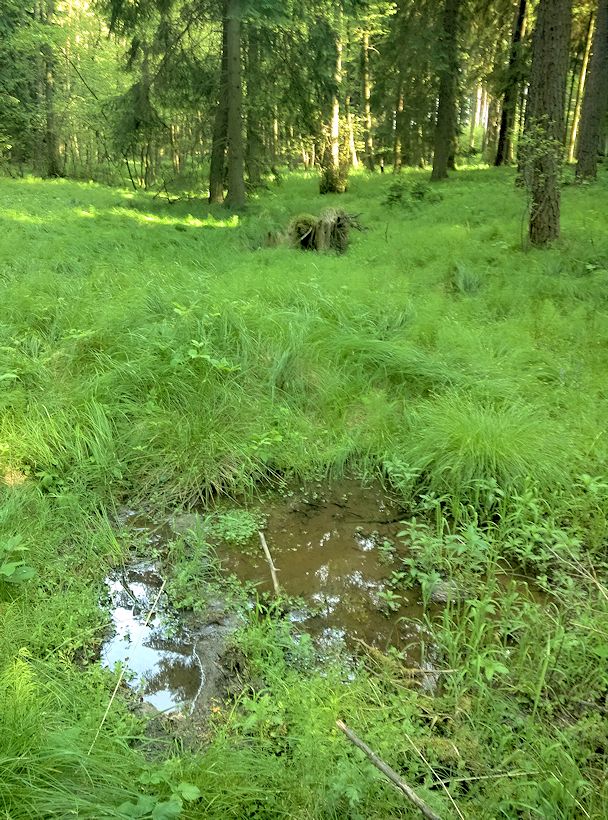 prameniště Svitava (8344) - datum neznámé