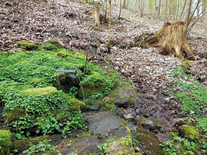 Zboženská studánka (8348) - duben 2014