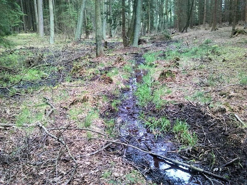 prameniště Pod písníkem (8355) - duben 2014