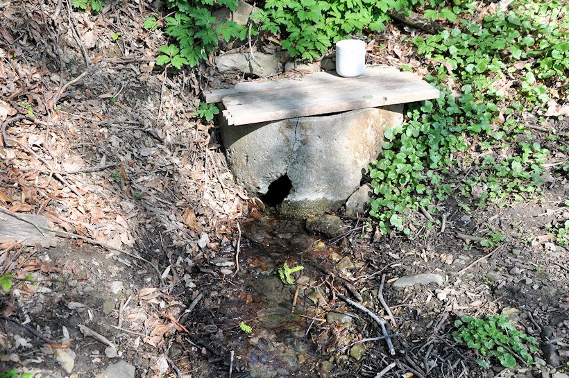 studánka Na naučné stezce (8361) - duben 2014