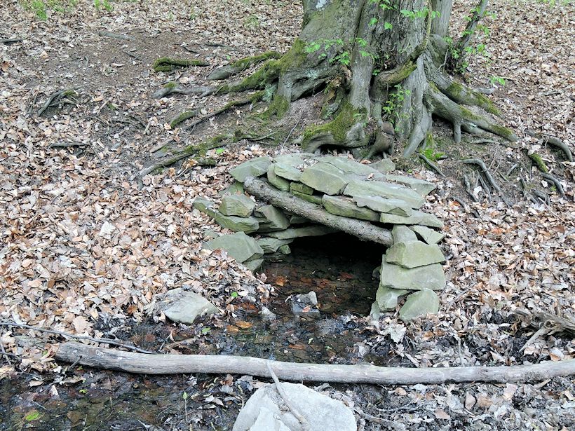 studánka bez jména (8373) - duben 2014