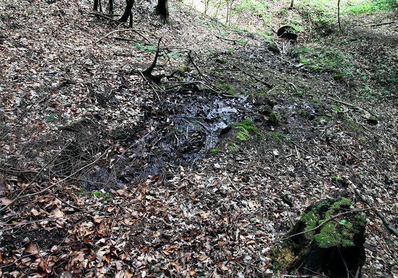 pramen Nad Rublovem (8399) - duben 2014
