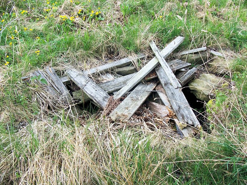 studánka U kaple (8406) - duben 2014