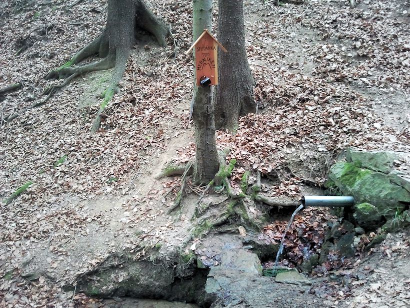 studánka Pod Medníkem (8411) - duben 2014