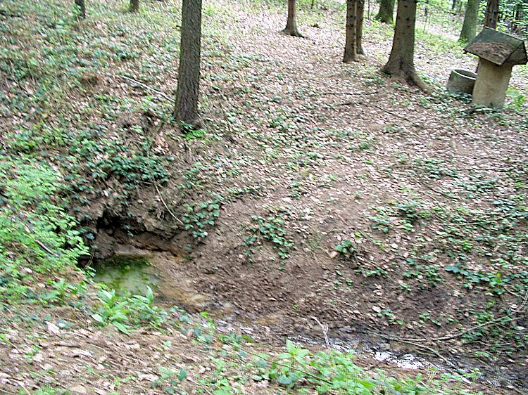 studánka V Luhu (8414) - duben 2014