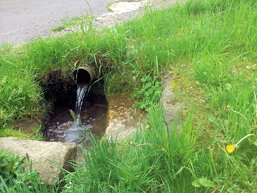 studánka bez jména (8445) - květen 2014