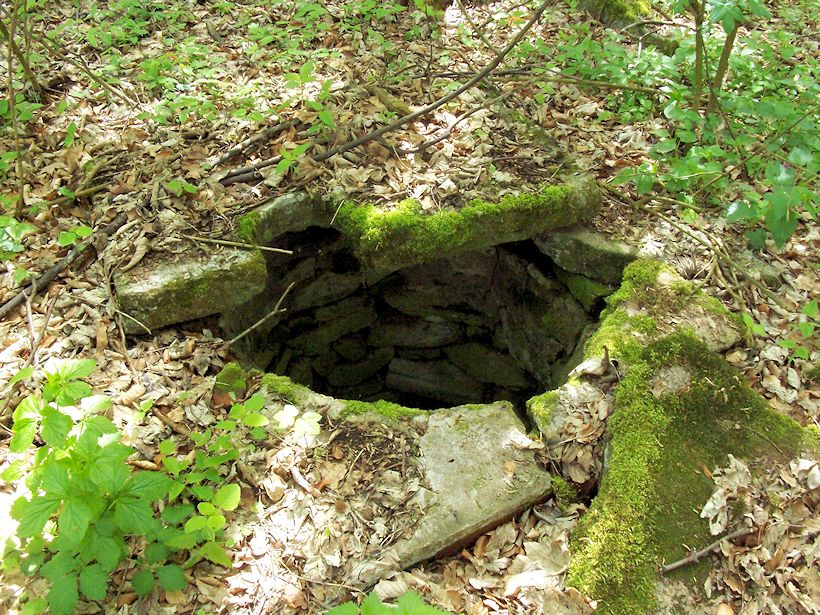 Prácheňská studánka (8454) - květen 2014