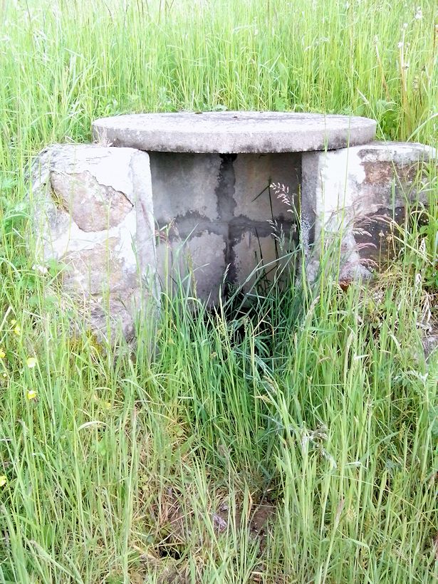 studánka bez jména (8484) - květen 2014
