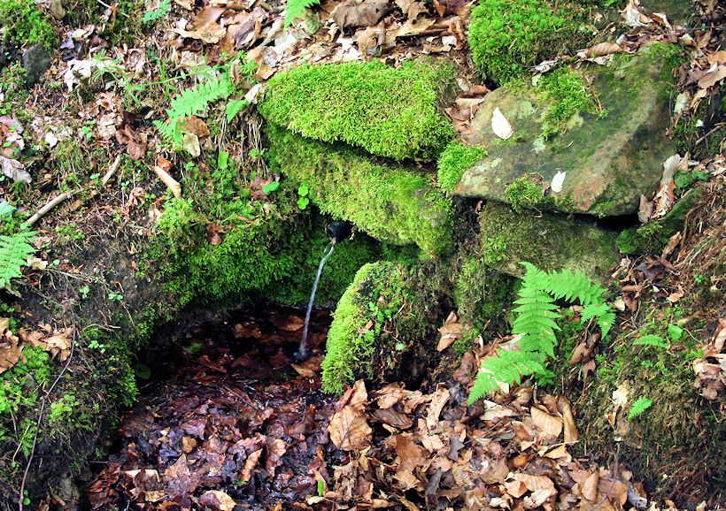 studánka Pod Sadem (8495) - květen 2014