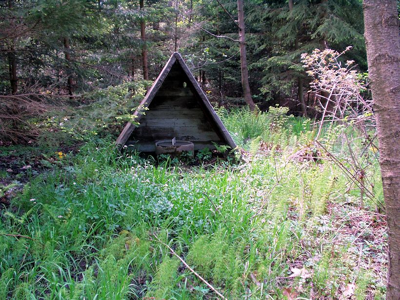 studánka bez jména (8511) - květen 2014