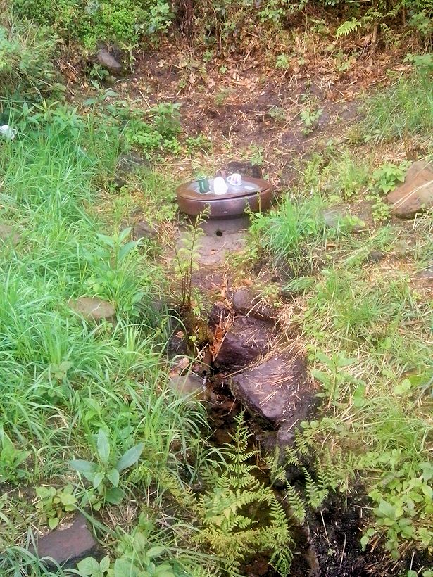 studánka bez jména (8513) - květen 2014