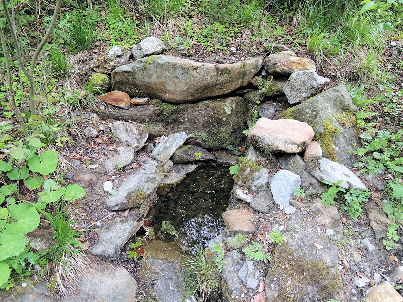 studánka Živá voda (8522) - květen 2014