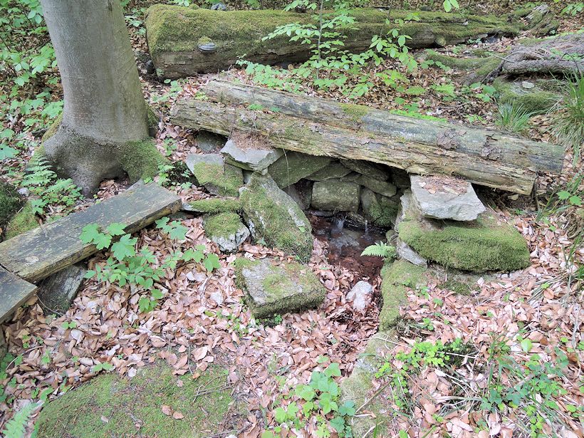 studánka Pod Hřebenem (8527) - květen 2014