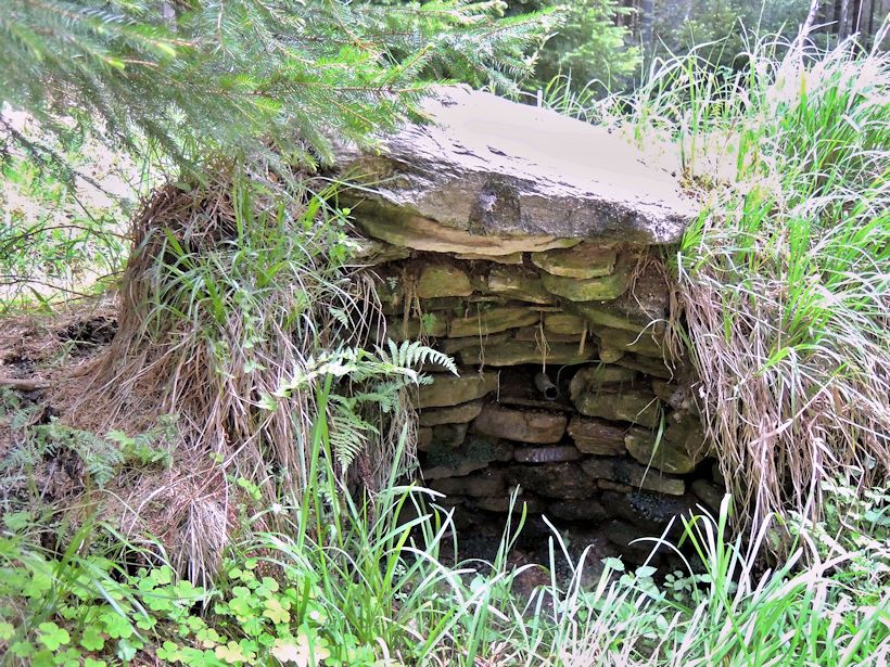 studánka U Reslova kříže (8531) - květen 2014