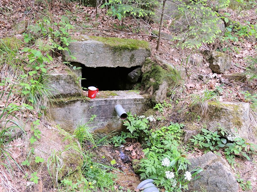 studánka U Černého potoka (8539) - květen 2014