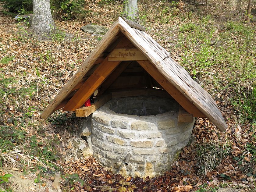 studánka Topolná (8543) - květen 2014
