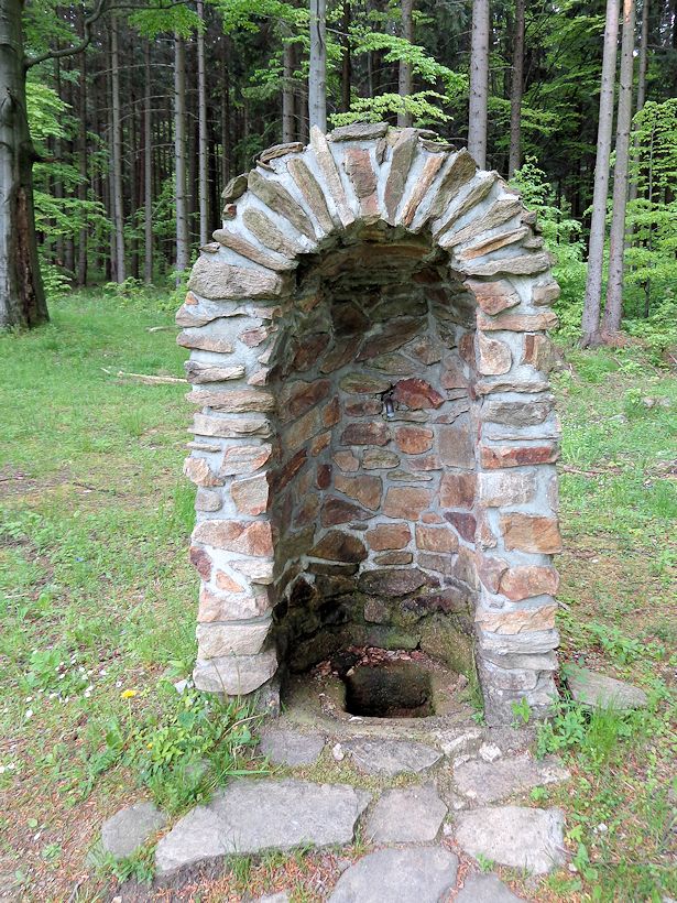studánka U rozcestí (8556) - květen 2014