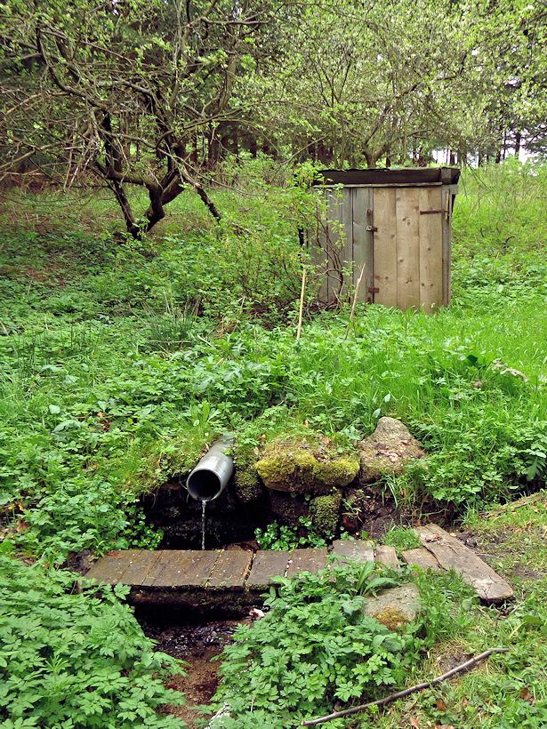 studánka V Hraničkách (8557) - květen 2014