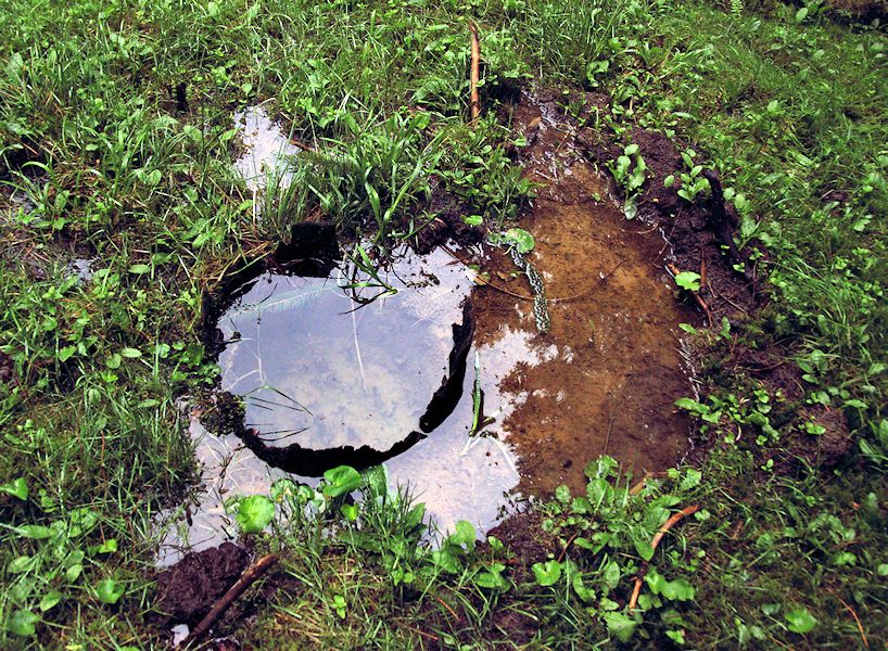 studánka Pařezový pramen (8563) - květen 2014