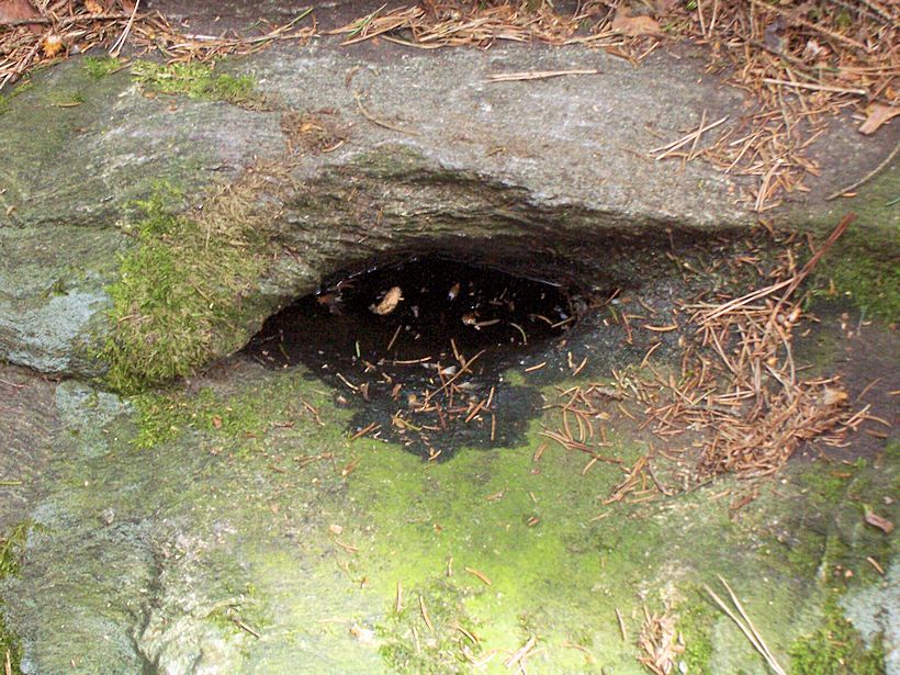 studánka Panny Marie Klatovské (8588) - květen 2014