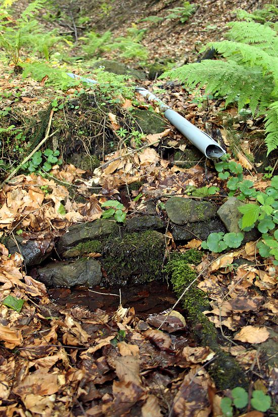 prameniště V Zábařiní (8608) - květen 2014