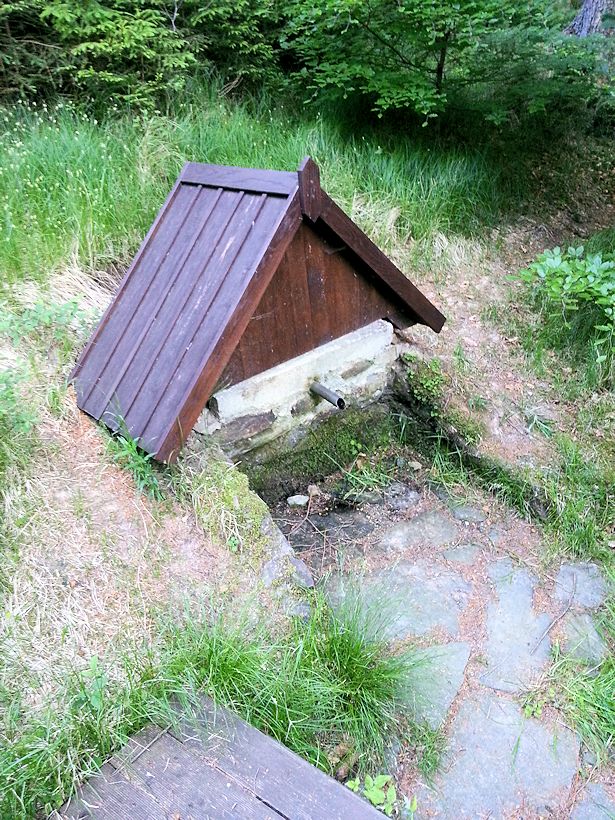 studánka bez jména (8636) - květen 2014
