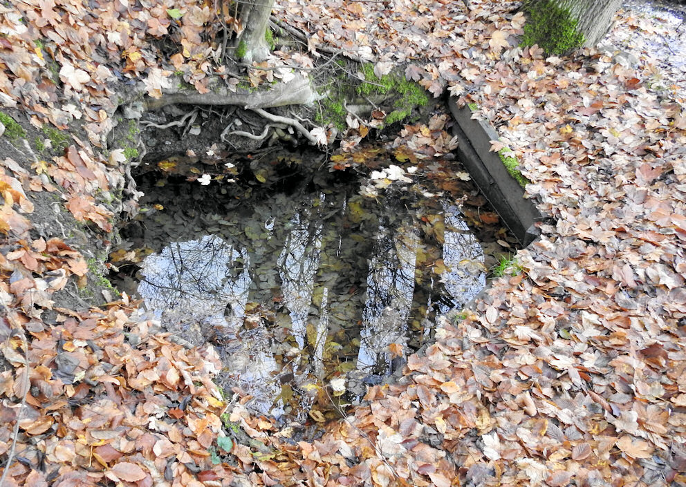 pramen Tajemná studánka (8644) - datum neznámé