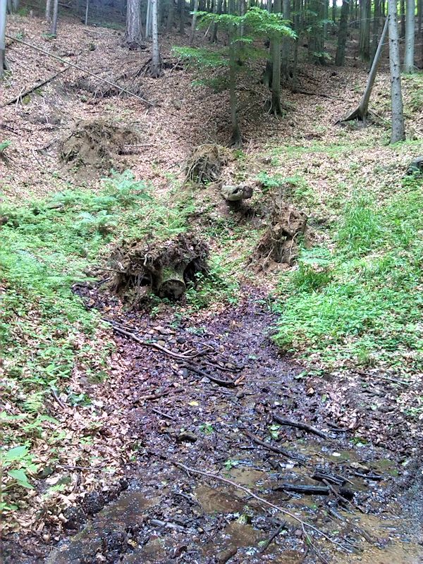 pramen Pod Skálou I (8690) - červen 2014