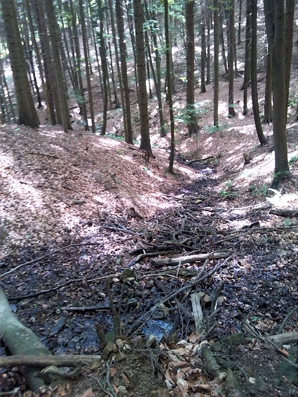 pramen Pod Skálou II (8691) - červen 2014