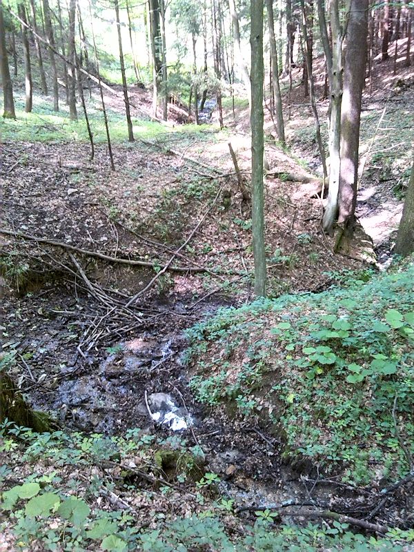 pramen Kunčinský potok (8693) - červen 2014