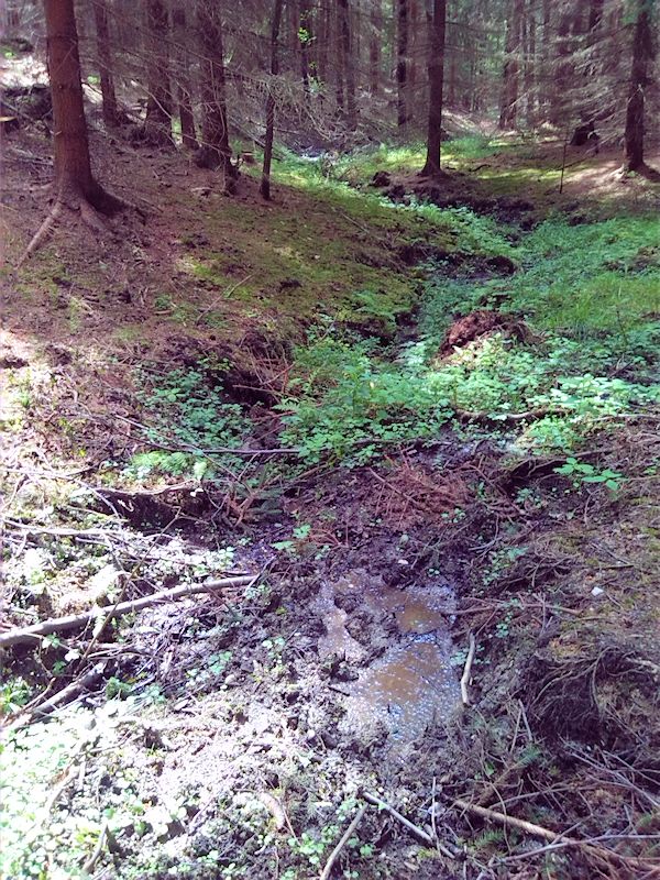 pramen Na vrších (8730) - červen 2014