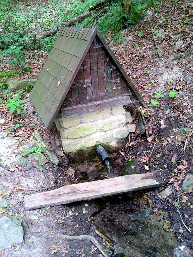 studánka Rakouské louky (8750) - červen 2014