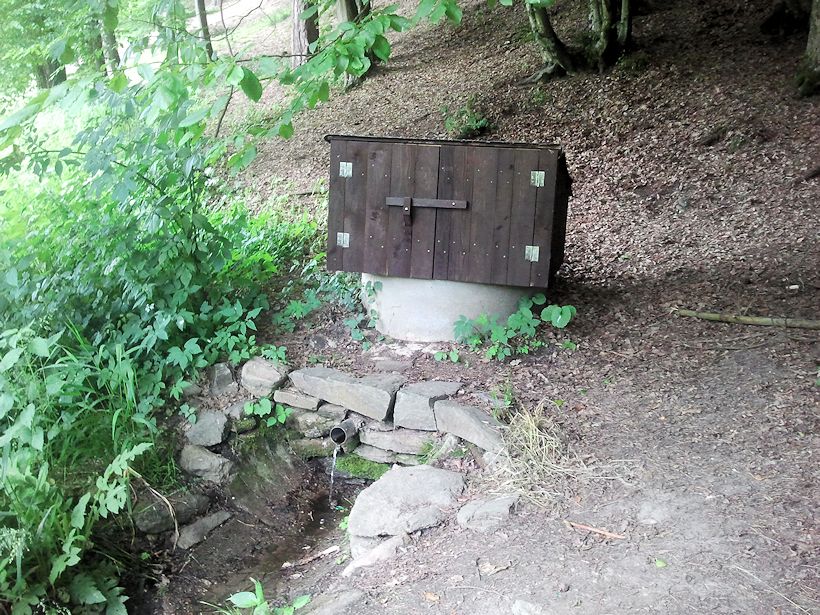 studánka Černá skála (8763) - červen 2014