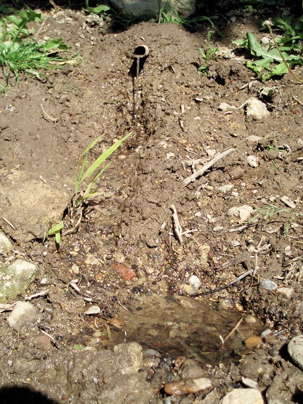 studánka Martinův pramen (8766) - červen 2014